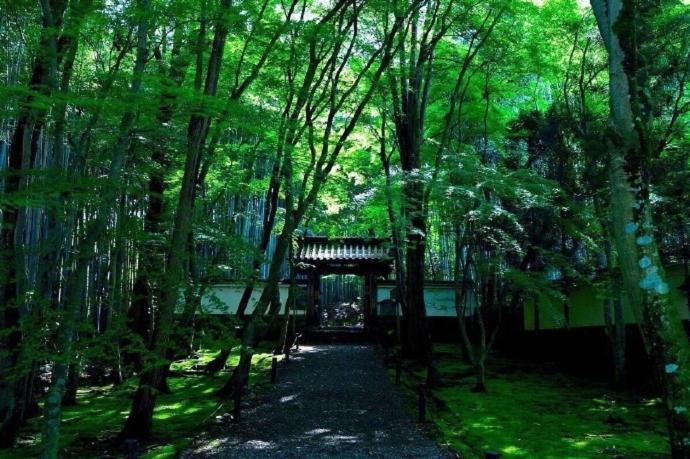 Kyoto-Toji House Aparthotel Bagian luar foto